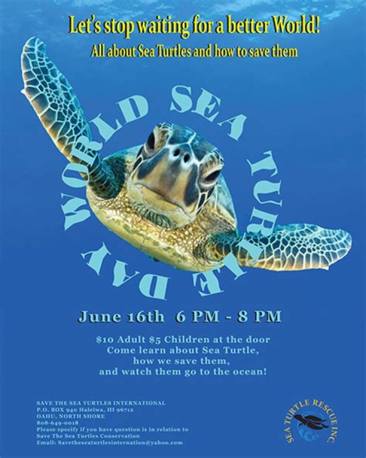 10 Things You Can Do to Help Save the Turtles