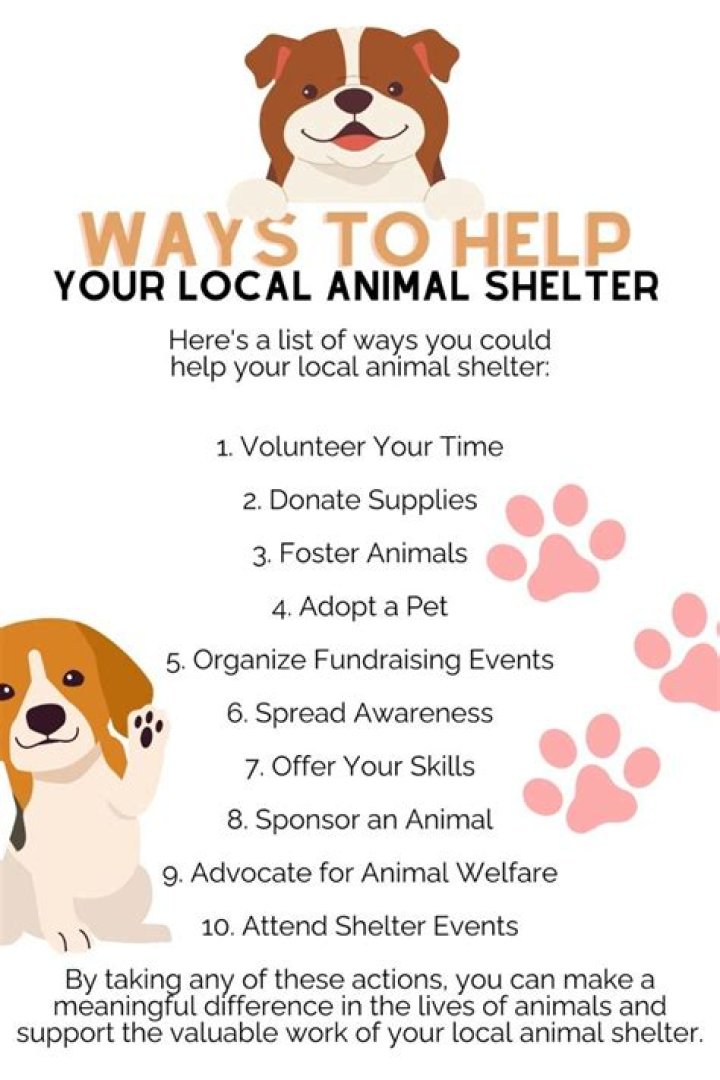 13 Easy Ways to Help Animal Shelters This Winter
