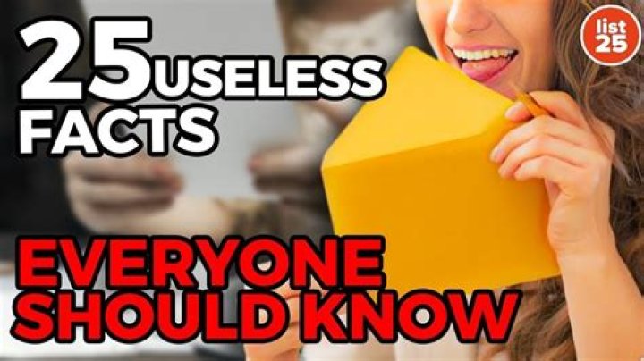 15 Ridiculous Jobs So Useless You Won't Believe They Exist — Best Life