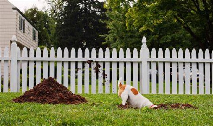 15 Ways You're Destroying Your Lawn