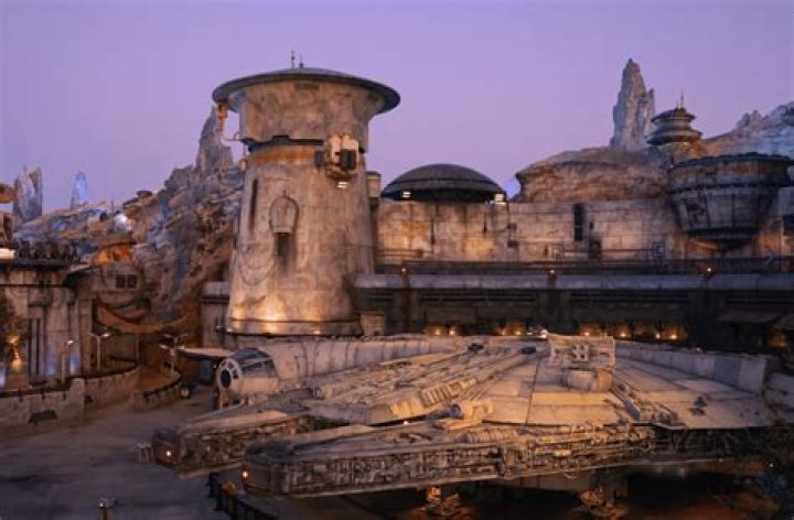 5 More of Our Favorite Walt Disney World Expeditions