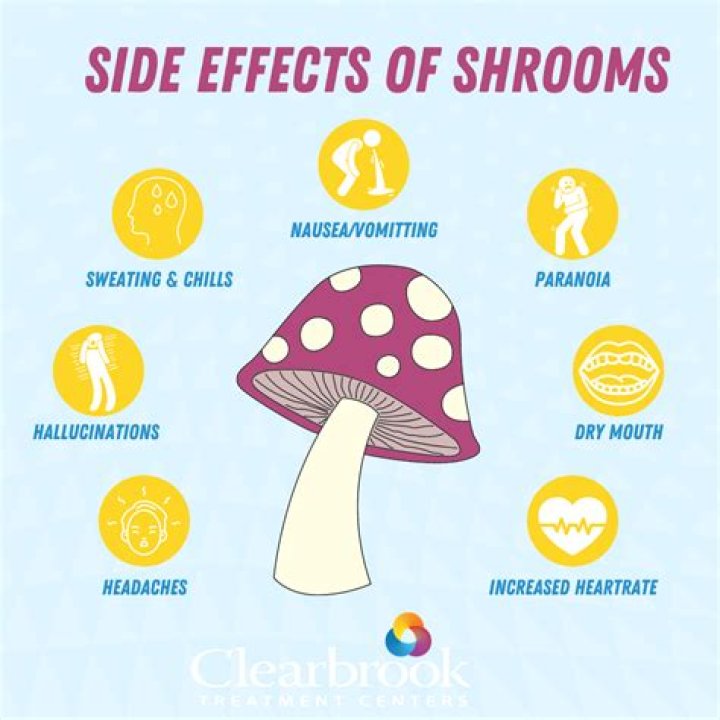 7 Side Effects of Magic Mushrooms, as Pilot Took Them Before Flight