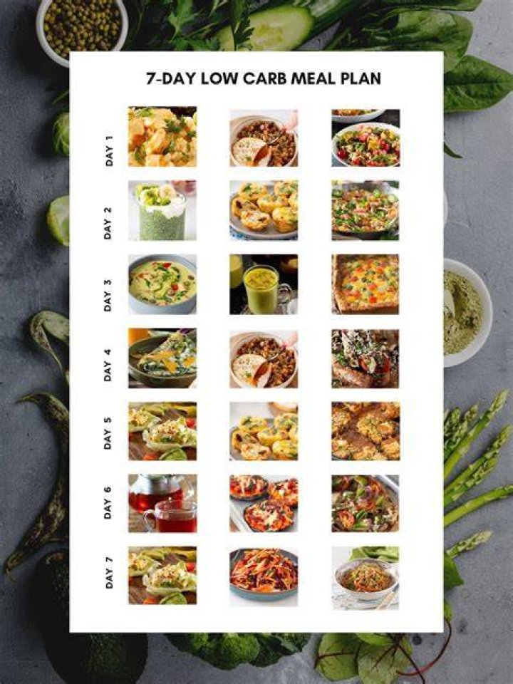 Atkins Diet Plan – Rapid Weight Loss Plan with Low-Carb Diet