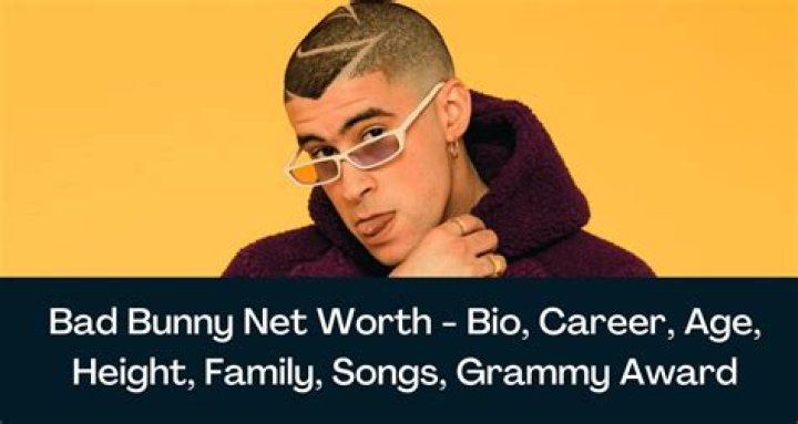 Bad Bunny net worth, income and estimated earnings of Youtuber channel