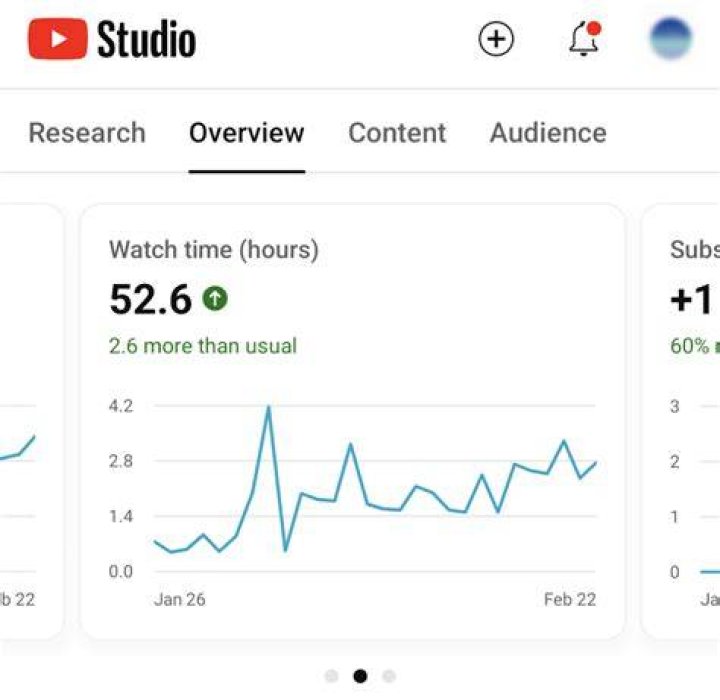 BigBrudda realtime subscriber count
