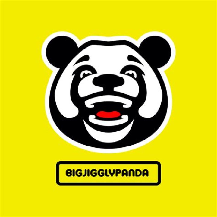 BigJigglyPanda Youtuber overview
