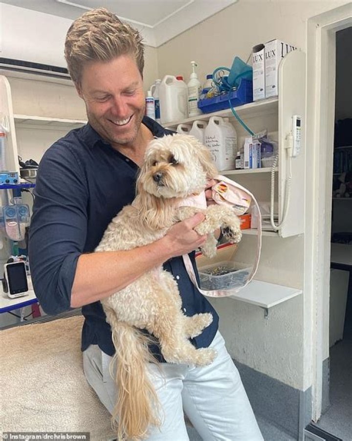 Bondi Vet net worth, income and estimated earnings of Youtuber channel