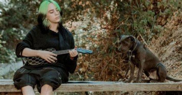 Can Billie Eilish Drive?