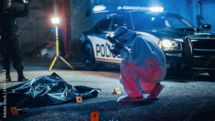 Criminalista Nocturno video statistics