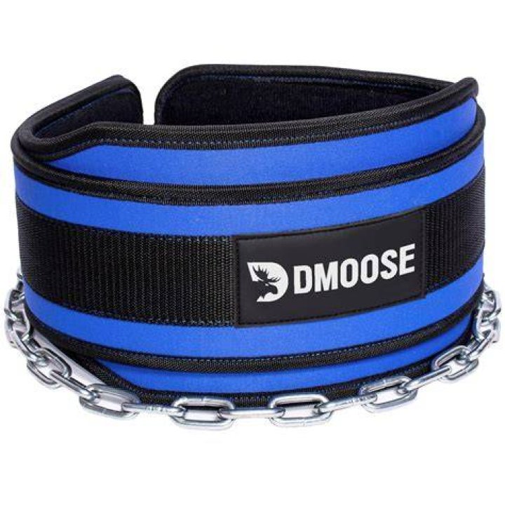 DMoose Fitness Premium Dip Belt Review