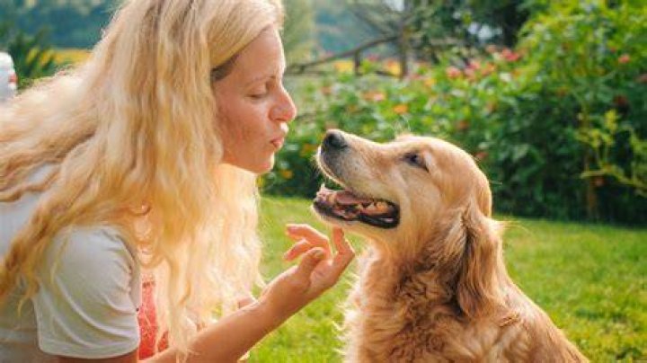 Dog Trainer Reveals the 5 Worst Things Owners Do and How to Fix Them