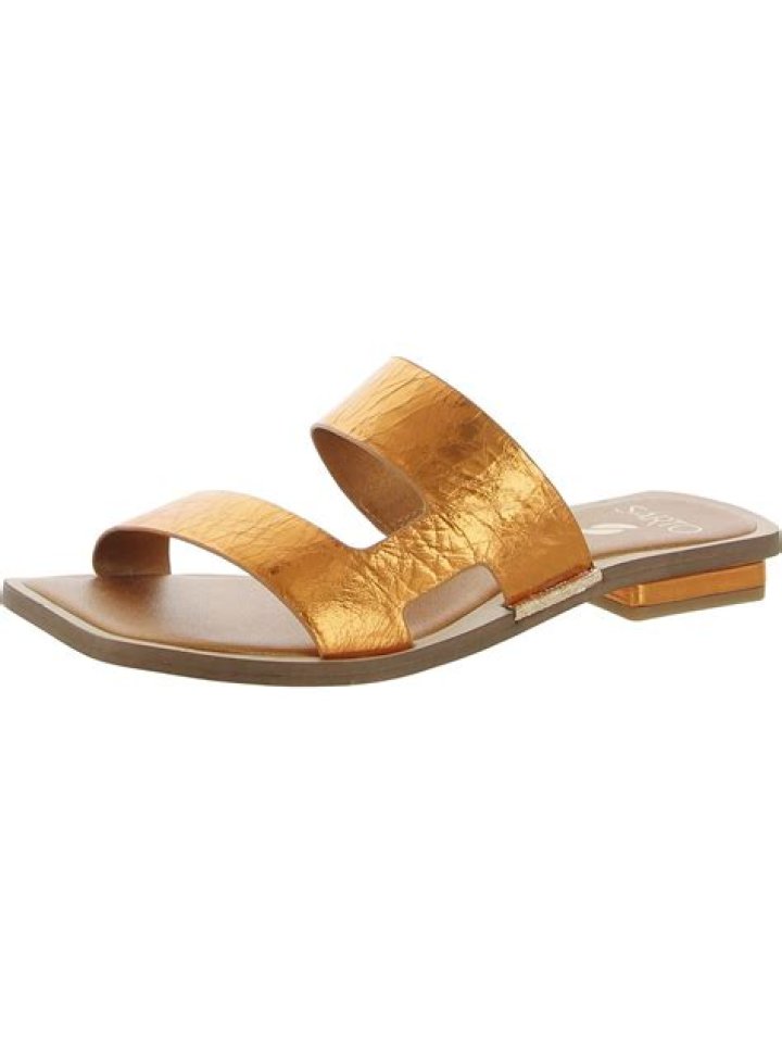 DSW Franco Sarto Birch Slide Sandal in Gold Metallic Snake Skin for $59.99 – Celeb Secrets