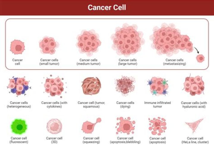 How Martina Navratilova Discovered She Has 2 Different Kinds of Cancer: "Double Whammy"