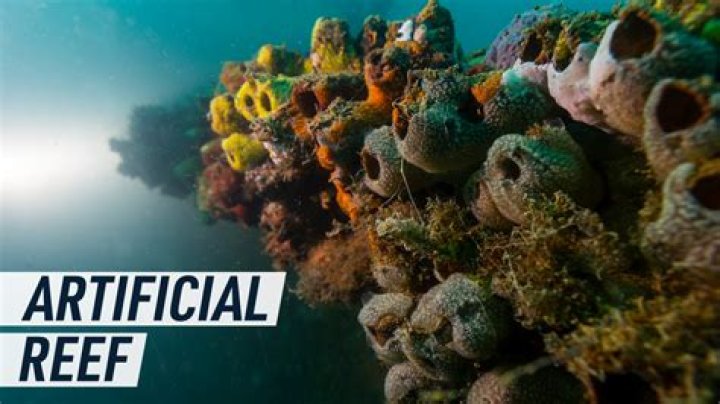 Kenny Chesney’s No Shoes Reef Partners To Develop New Artificial Reef In Florida