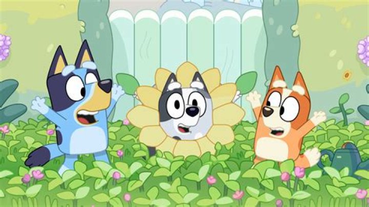 Līdzīgi YouTube lietotāji to Bluey