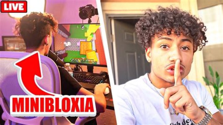 MiniBloxia Youtuber overview