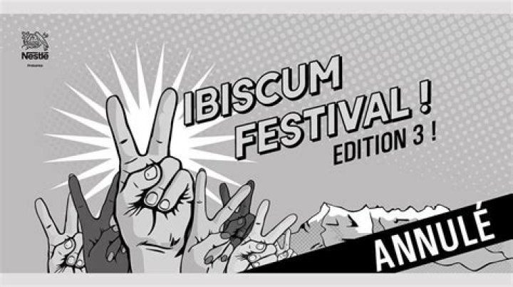 No Refunds For Fans After Switzerland’s Vibiscum Festival Cancels For 2024