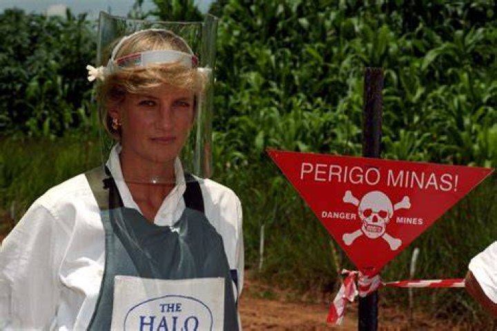 Prince Harry Wanted to "Vindicate" Diana With His Landmine Visit in Angola
