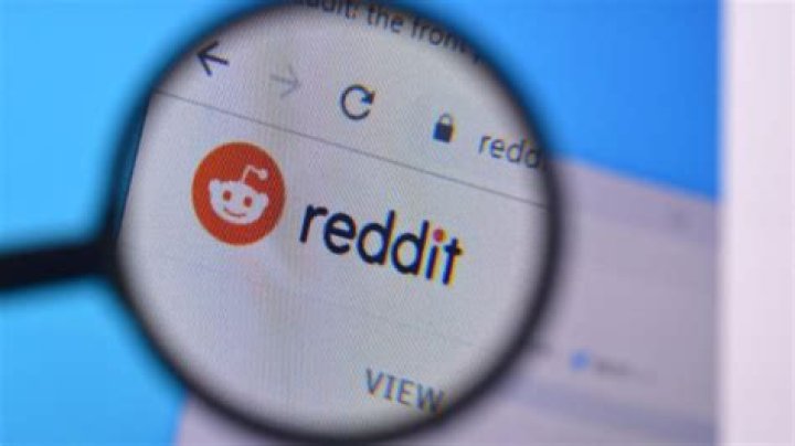 Reddit Users Wonder About Its Meaning!