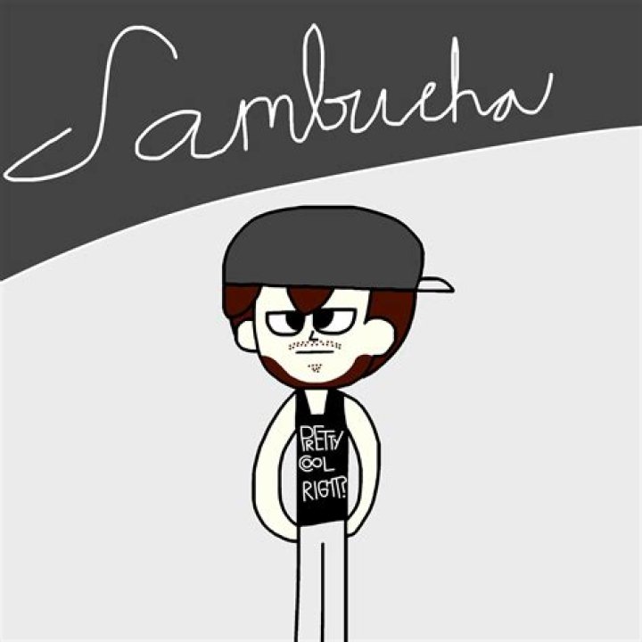 Sambucha Youtuber overview