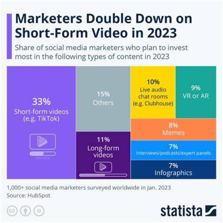 SouFLoTV video statistics