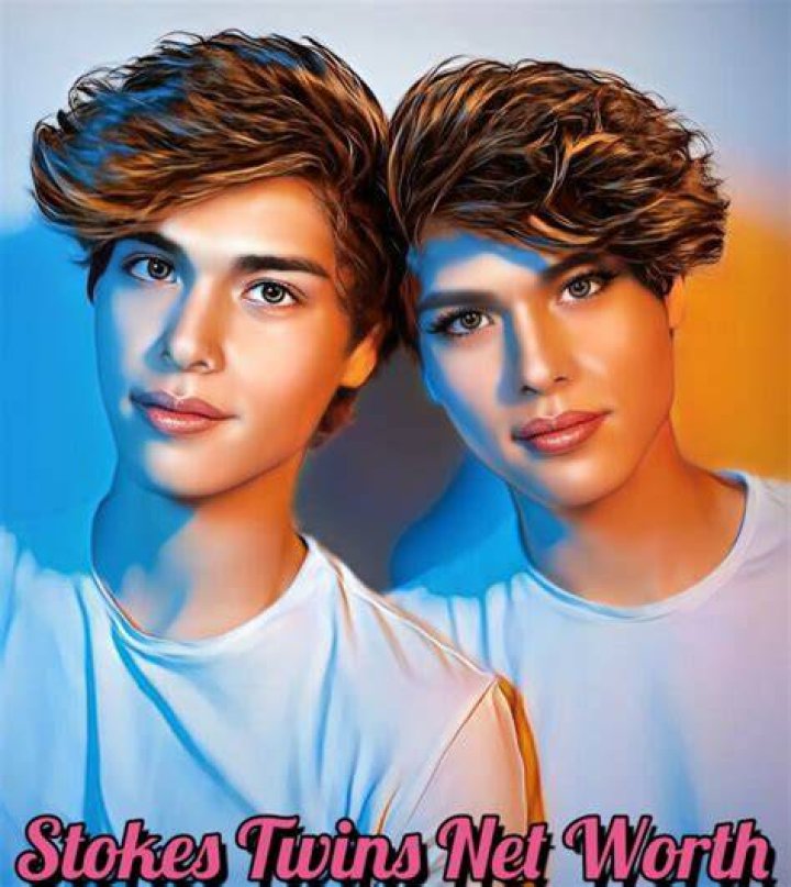 Stokes Twins net worth, income and estimated earnings of Youtuber channel