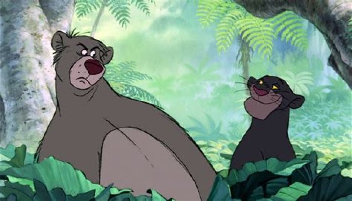 Ten Things You May Not Know About Baloo and Bagheera