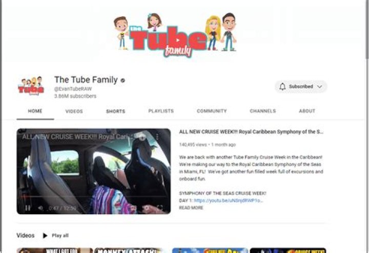 The Tube Family Youtuber overview