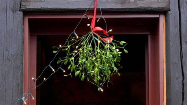 This Is the History of Why We Hang a Mistletoe at Christmas