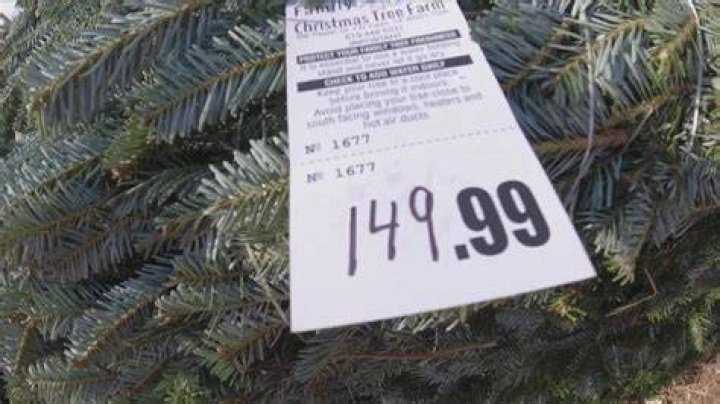 This Is the Worst Time to Buy a Christmas Tree, Experts Say