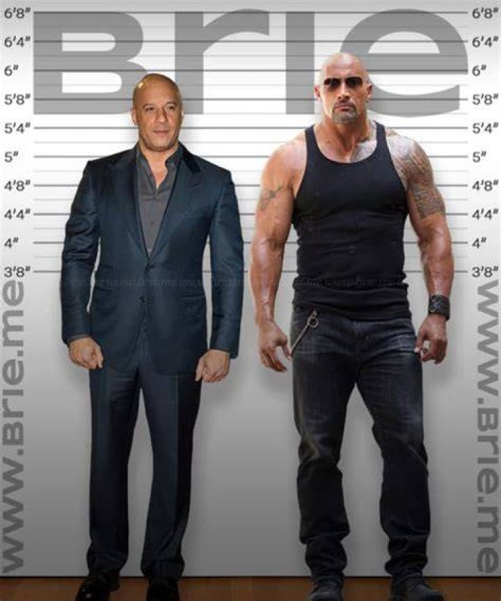 Vin Diesel Height, Weight, Age, Girlfriend, Body Statistics