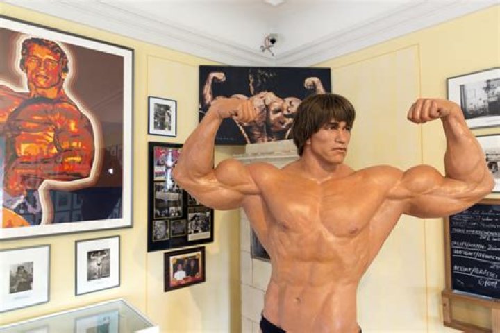 What Is Arnold Schwarzenegger’s Height?