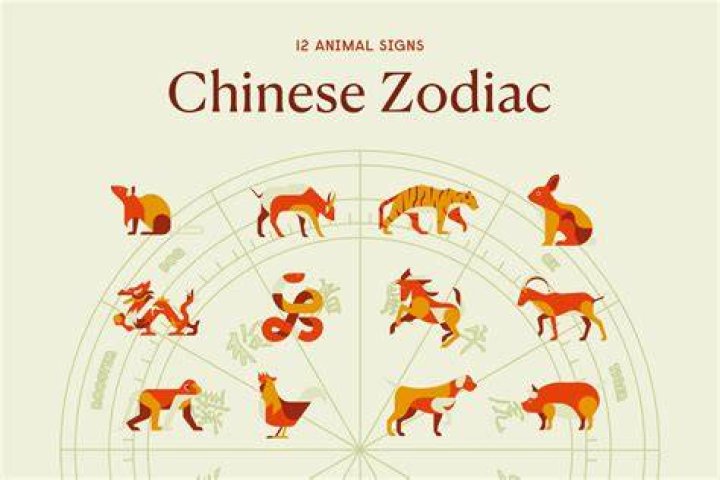 What Is My Chinese Zodiac Sign? A Complete Guide to Your Animal
