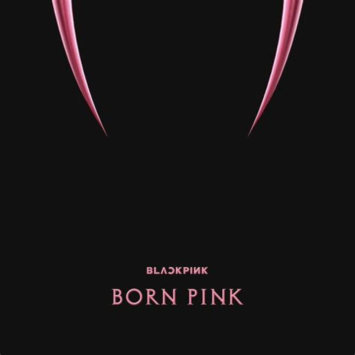 What Was Pink's First Song?